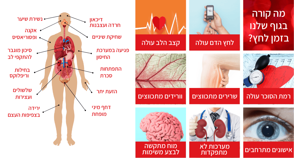 מה הסטרט גורם לגוף - RLX